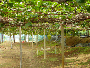 2013-08-297.jpg