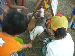 20140726ǂƗ04.jpg
