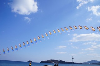 DSC00349.jpg