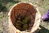 DSC00660.jpg
