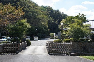 DSC00737.jpg