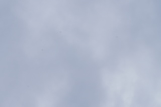 DSC01002.JPG