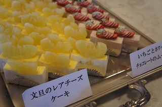 DSC01724.jpg