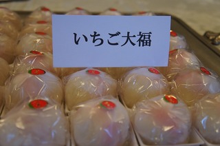 DSC01733.jpg