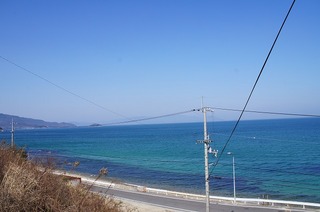 DSC01848.jpg