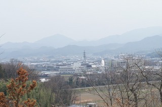 DSC03031.jpg