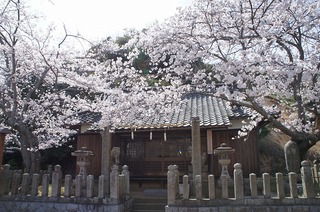 DSC03434.jpg