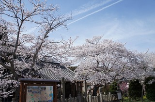 DSC03439.jpg