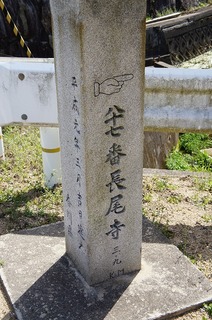 DSC03450.jpg