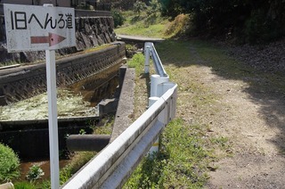 DSC03451.jpg