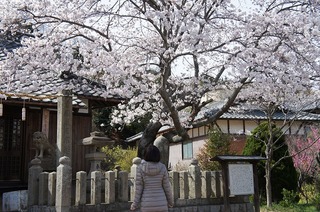 DSC03452.jpg