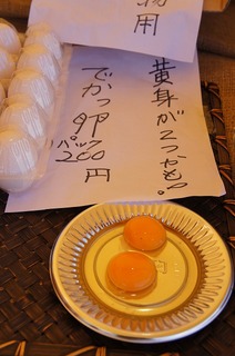 DSC03684.jpg