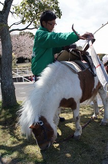 DSC03706.jpg