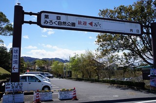DSC03747.jpg