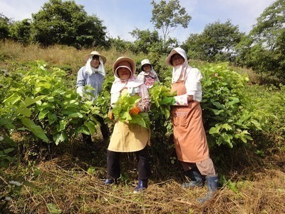 DSC05893-thumbnail2-thumbnail2.jpg