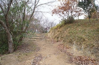 DSC06175.jpg