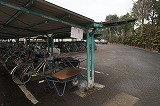 DSC06190.jpg