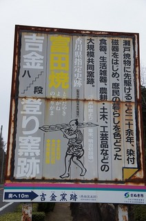 DSC08816.jpg