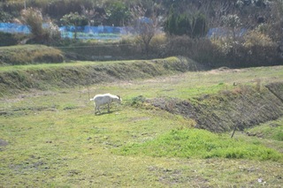 DSC_0014.JPG