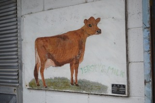DSC_0084.JPG