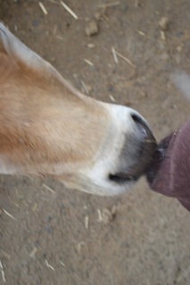 DSC_0095.JPG