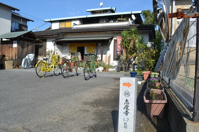 DSC_0113.JPG
