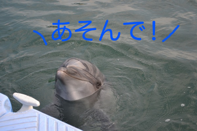 DSC_0148.png