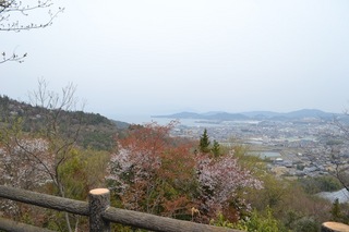 DSC_0163.JPG