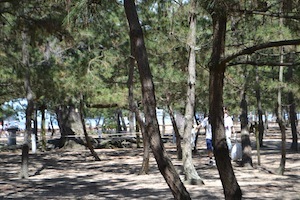 DSC_0163.JPG