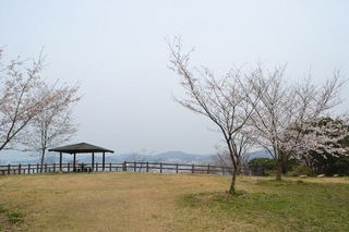 DSC_0170.JPG