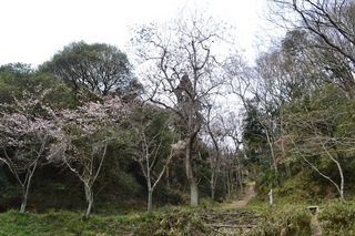 DSC_0175.JPG