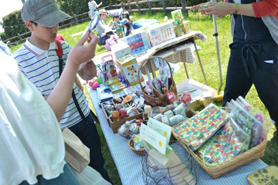 DSC_0176.jpg