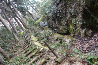 DSC_0181.JPG