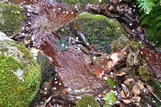 DSC_0186.JPG
