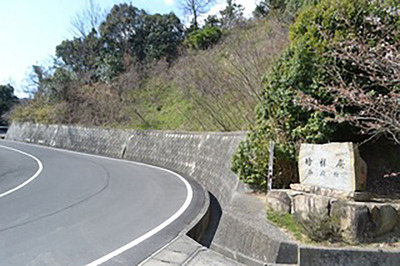 DSC_0371-67816-thumbnail2.jpg