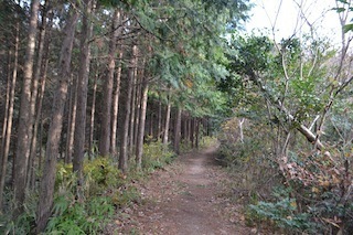 DSC_0376-56290-thumbnail2.JPG