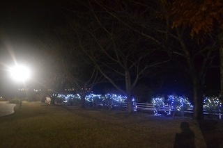 DSC_0415.JPG