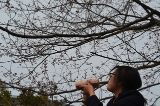 DSC_0448.JPG