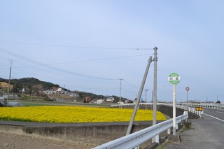 DSC_0485.JPG