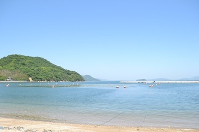 DSC_0523.JPG