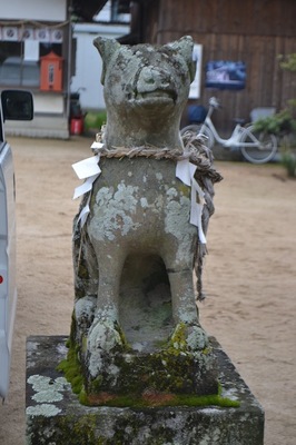 DSC_0525.JPG