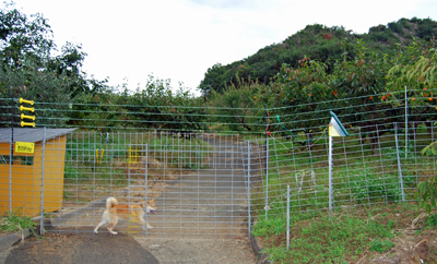 DSC_0596_ES.jpg