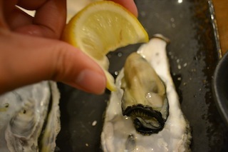 DSC_0669.JPG