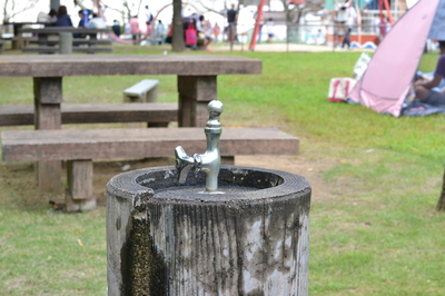 DSC_0675.JPG