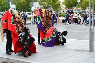 DSC_0833.JPG