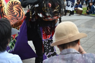 DSC_0841.JPG