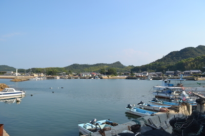 DSC_0876.JPG