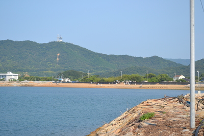 DSC_0877.JPG