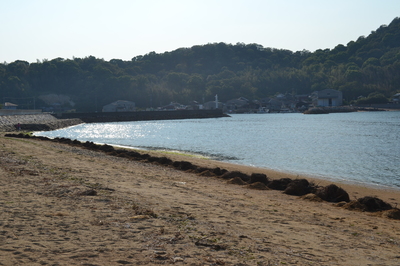 DSC_0884.JPG