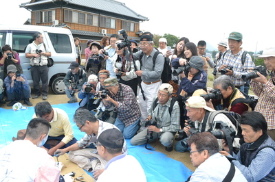 DSC_0917.JPG